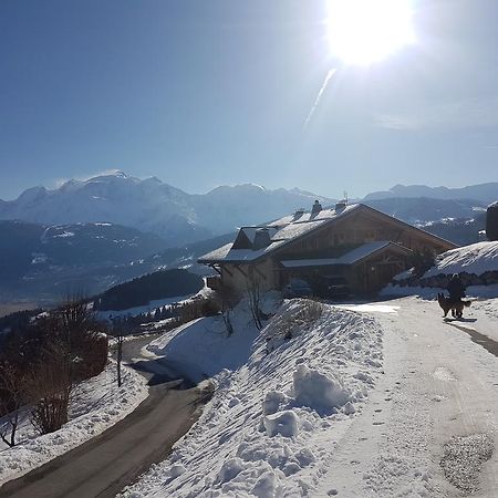 サランシュ La Joubarbe Au Balcon Du Mont-Blancヴィラ エクステリア 写真