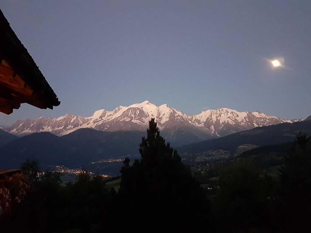 サランシュ La Joubarbe Au Balcon Du Mont-Blancヴィラ エクステリア 写真